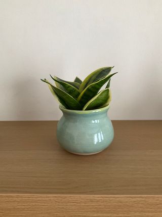 Bubbly planter glazed light teal on the outside and yellow inside.