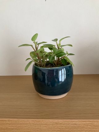 A curvy planter lifted by a concave raw ceramic foot,
with a dark blue glaze outside and a green inside showing at the rim.