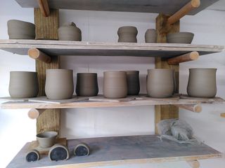 Set of 8 mugs bodies of slightly varying size but all lightly bulbous, waiting to dry after throwing
