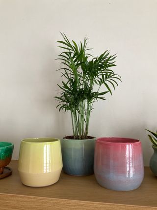 A curvy planter glazed outside in a blue to green gradient blending into a green inside.