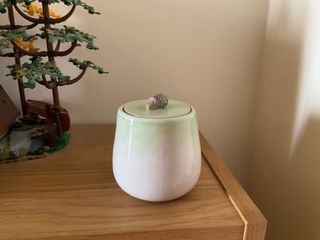 A little flat-lidded jar with a hedgehog knob, glazed in a gradient of light green on top of a white body.