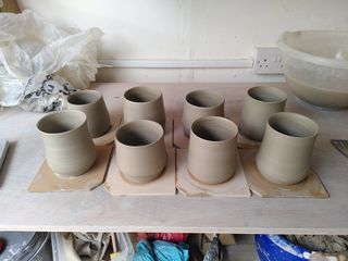 8 really tidy mug bodies in wet clay, on their bat after throwing 