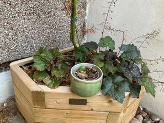 A little curvy dark green planter