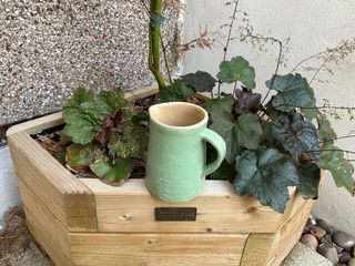 A small jug with texture near its bottom, glazed light green outside and beige inside.