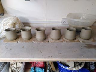 6 mug bodies on their bats after throwing