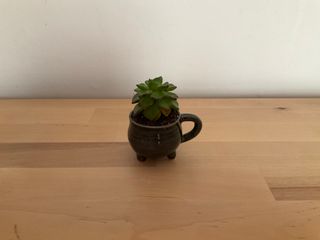 Mini cup in the shape of a black cauldron, with a round handle.